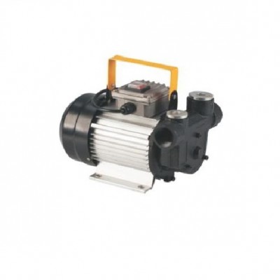 Portable AC 220v 110v electric diesel fuel transfer pump